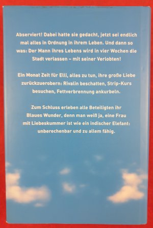 gebrauchtes Buch – Kürthy, Ildikó von – Blaue Wunder