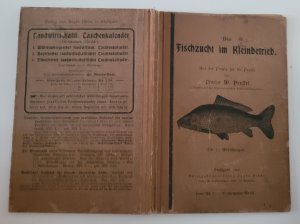 Fischzucht im Kleinbetrieb