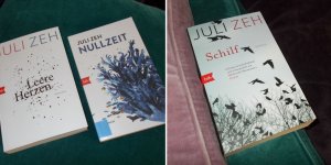 Nullzeit Leere Herzen Schilf