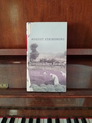 gebrauchtes Buch – Strindberg, August; Steinfeld – Unter französischen Bauern - Eine Reportage