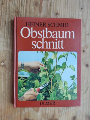 Obstbaumschnitt