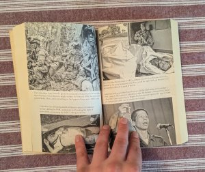 gebrauchtes Buch – John Otis – Law of the Jungle