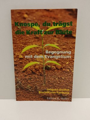 Knospe, Du trägst die Kraft zur Blüte - Begegnung mit dem Evangelium