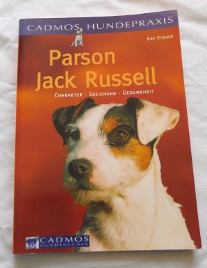 Parson Jack Russell