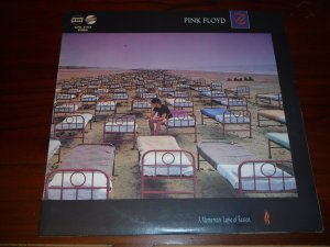 gebrauchter Tonträger – Pink Floyd – A Momentary Lapse Of Reason - Vinyl LP von 1987