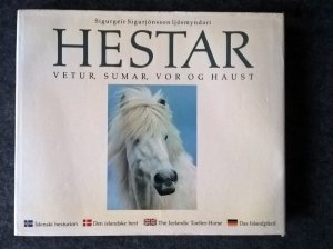 Hestar. Vetur, sumar, vor og haust. Ìslenski hesturinn / Den islandske hest / The Icelandic Toelter-Horse / Das Islandpferd