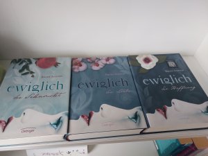 gebrauchtes Buch – Brodi Ashton – Ewiglich