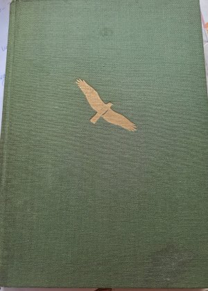 Vogelvolk auf weiter Reise - Das Wunder des Vogelzuges