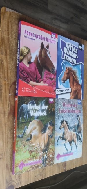 4 Pferde Bücher-2 x Evy und die Wildpferde 8 + 9 /1 x Gitte 3+ 1 x Ein Herz für Pferde 4