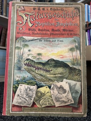 Naturgeschichte der Reptilien, Amphibien, Fische, Insekten, Krebstiere, Würmer, Weichtiere, Stachelhäuter, Pflanzentiere und Urtiere