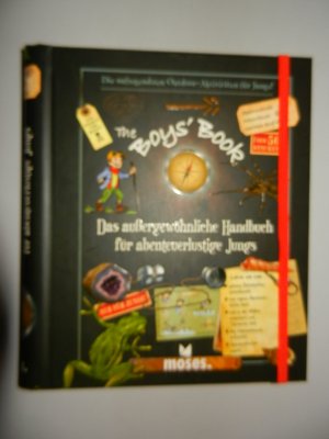 gebrauchtes Buch – Lecreux, Michèle – The Boys‘ Book - Das außergewöhnliche Handbuch für abenteuerliche Jungs