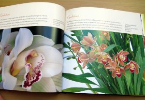 gebrauchtes Buch – Romeis, Ulrike; Goede – Zauberhafte Orchideen