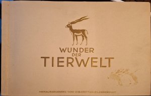 Wunder der Tierwelt