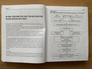 gebrauchtes Buch – Sulz, Serge K – Strategische Kurzzeittherapie - Wege zur effizienten Psychotherapie