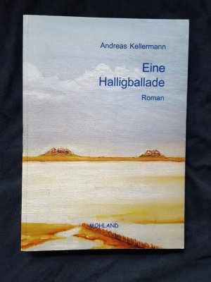 gebrauchtes Buch – Andreas Kellermann – Eine Halligballade