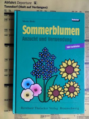 gebrauchtes Buch – Moritz Bürki – Sommerblumen