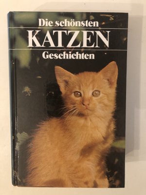 Die schönsten Katzengeschichten