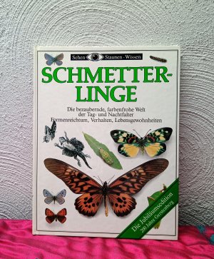 Schmetterlinge (Sehen - Staunen - Wissen)