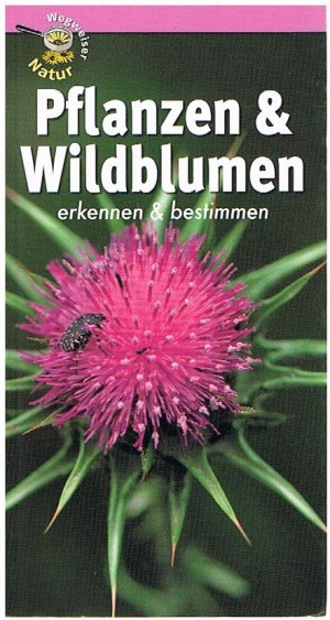 Pflanzen und Wildblumen erkennen & bestimmen