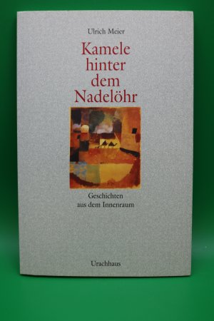 Kamele hinter dem Nadelöhr: Geschichten aus dem Innenraum