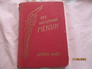 Der dreigliedrige Mensch