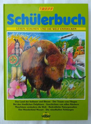 Schülerbuch 1996. Lesen, staunen und die Welt entdecken