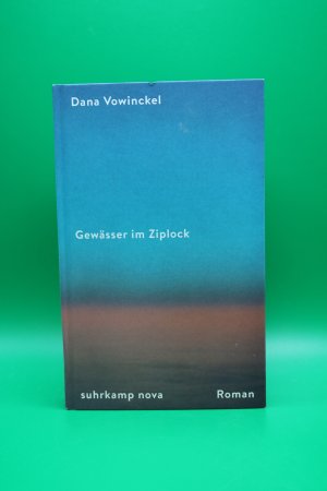 gebrauchtes Buch – Dana Vowinckel – Gewässer im Ziplock - Roman