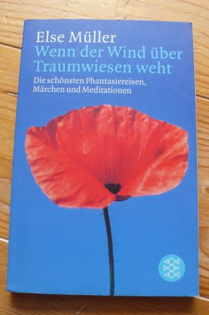 Wenn der Wind über Traumwiesen weht - Die schönsten Phantasiereisen, Märchen und Meditationen