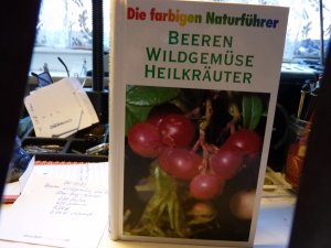 gebrauchtes Buch – Grau - Jung - Münker – Beeren - Wildgemüse - Heilkräuter - Die farbigen Naturführer