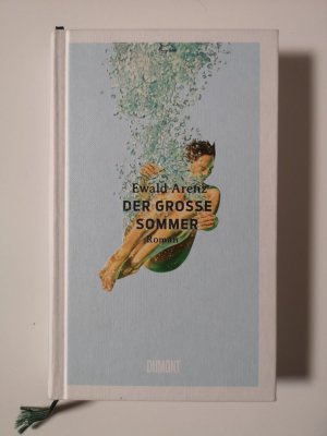 gebrauchtes Buch – Ewald Arenz – Der große Sommer