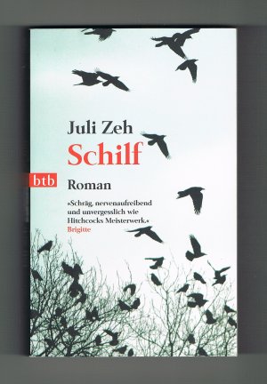 Schilf