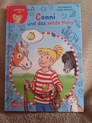 Conni und das wilde Pony