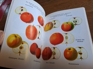 gebrauchtes Buch – Ariane Müller – Alte Obstsorten