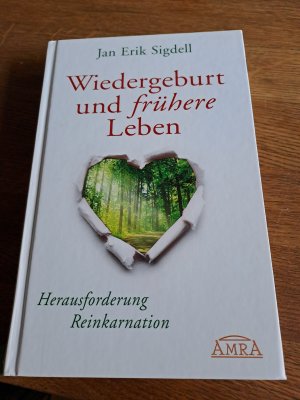 Wiedergeburt und frühere Leben