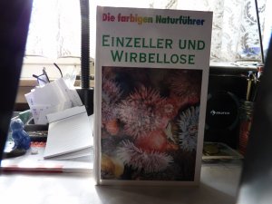 gebrauchtes Buch – Dr. Bellmann, Prof – Einzeller und Wirbellose - Die farbigen Naturführer