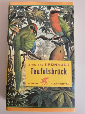 gebrauchtes Buch – Brigitte Kronauer – Teufelsbrück - Roman