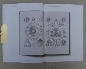 gebrauchtes Buch – Die schönsten deutschen Bücher 2012. The Best German Book Design 2012
