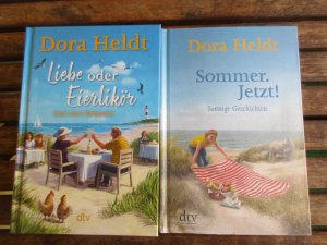 gebrauchtes Buch – Dora Heldt – Bücherset - Sommer. Jetzt! (Sonnige Geschichten) / Liebe oder Eierlikör (Fast eine Romanze)