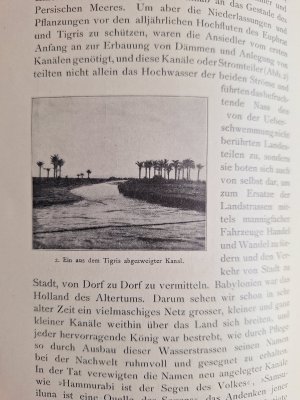 antiquarisches Buch – Friedrich Delitzsch – Im Lande des einstigen Paradieses. Mit 52 Bildern, Karten und Plänen