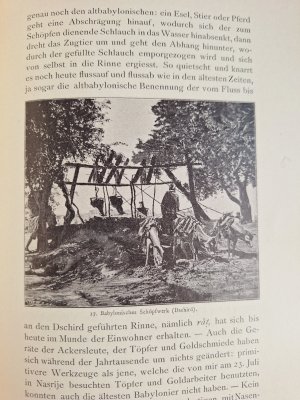 antiquarisches Buch – Friedrich Delitzsch – Im Lande des einstigen Paradieses. Mit 52 Bildern, Karten und Plänen