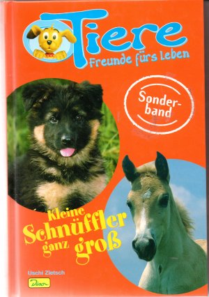 gebrauchte Buecher