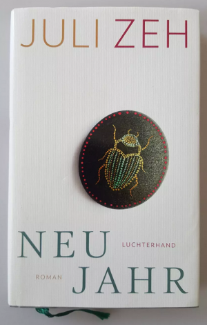 gebrauchtes Buch – Juli Zeh – Neujahr