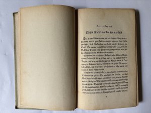 antiquarisches Buch – Waldemar Bonsels – Die Biene Maja und ihre Abenteuer