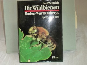 Die Wildbienen Baden-Württembergs - Spezieller Teil