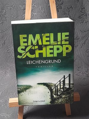 gebrauchtes Buch – Emelie Schepp – Leichengrund