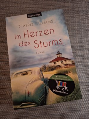 gebrauchtes Buch – Beatriz Williams – Im Herzen des Sturms