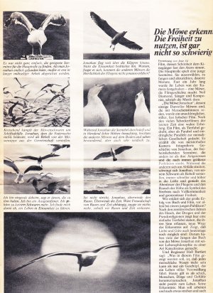 gebrauchtes Buch – RICHARD BACH - Photographs by Russell Munson – Jonathan Livingston Seagull. A Story.