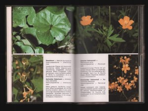 gebrauchtes Buch – Christoph Mayr – Giftfibel/Giftstoffe aus der Tier- und Pflanzenwelt