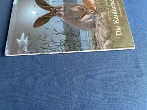 gebrauchtes Buch – Jörg Steiner – Die Kanincheninsel