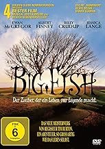 gebrauchter Film – Tim Burton – Big Fish